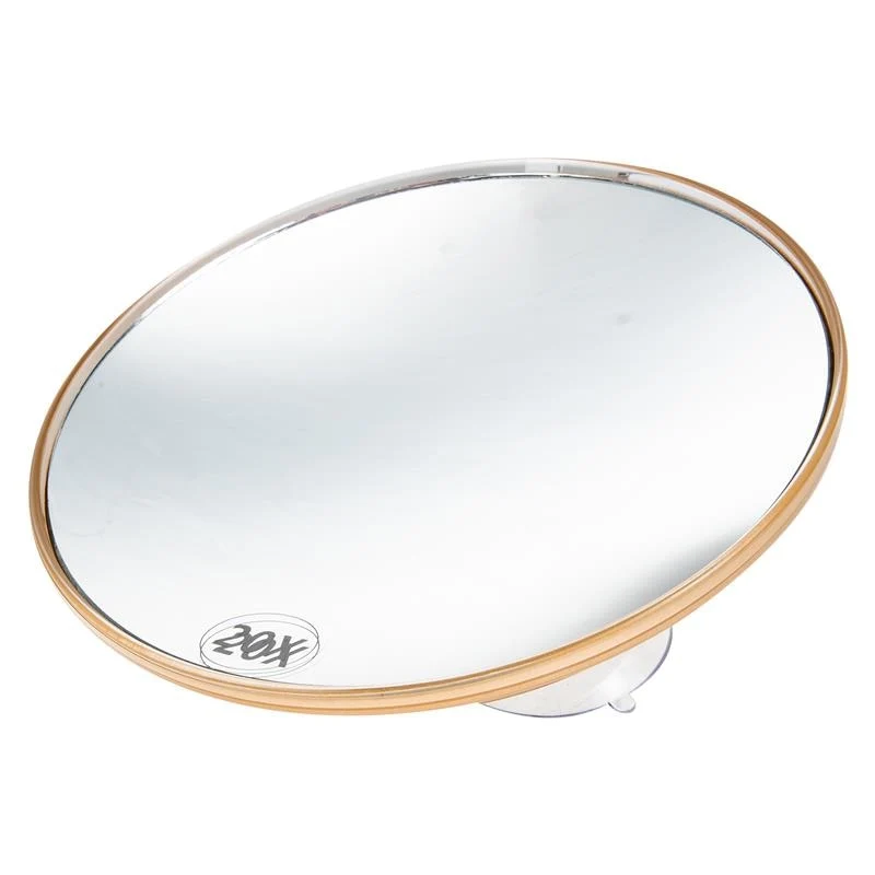 Miroir grossissant x20 ventouse