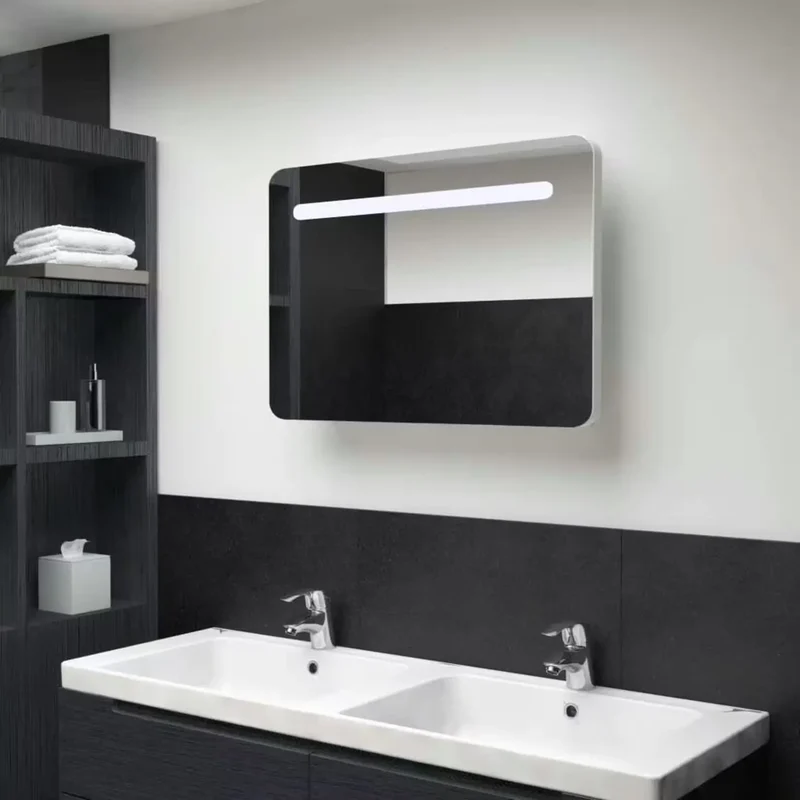 Miroir Armoire Salle de Bain 80x55 : LED USB, Étagères