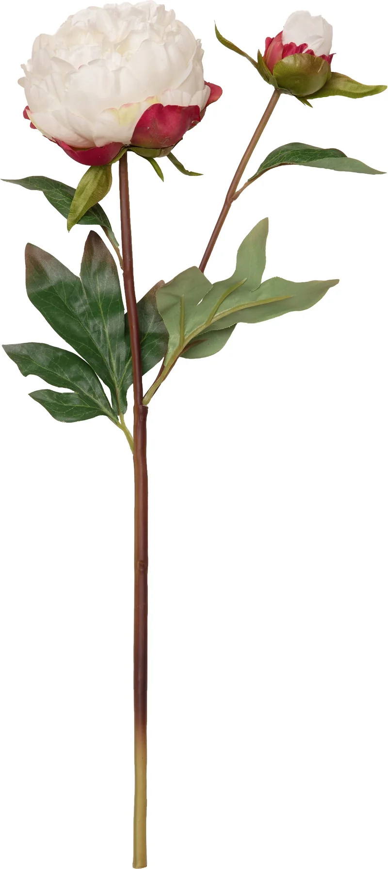 PAEONIA Kunstpflanze