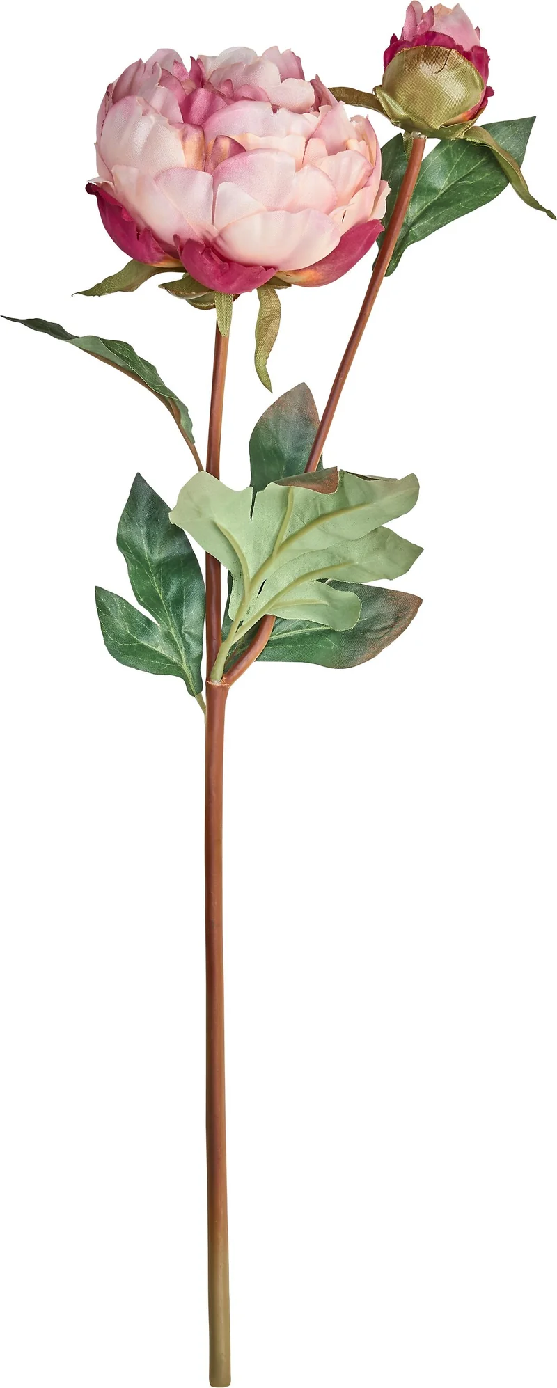 PAEONIA Kunstpflanze