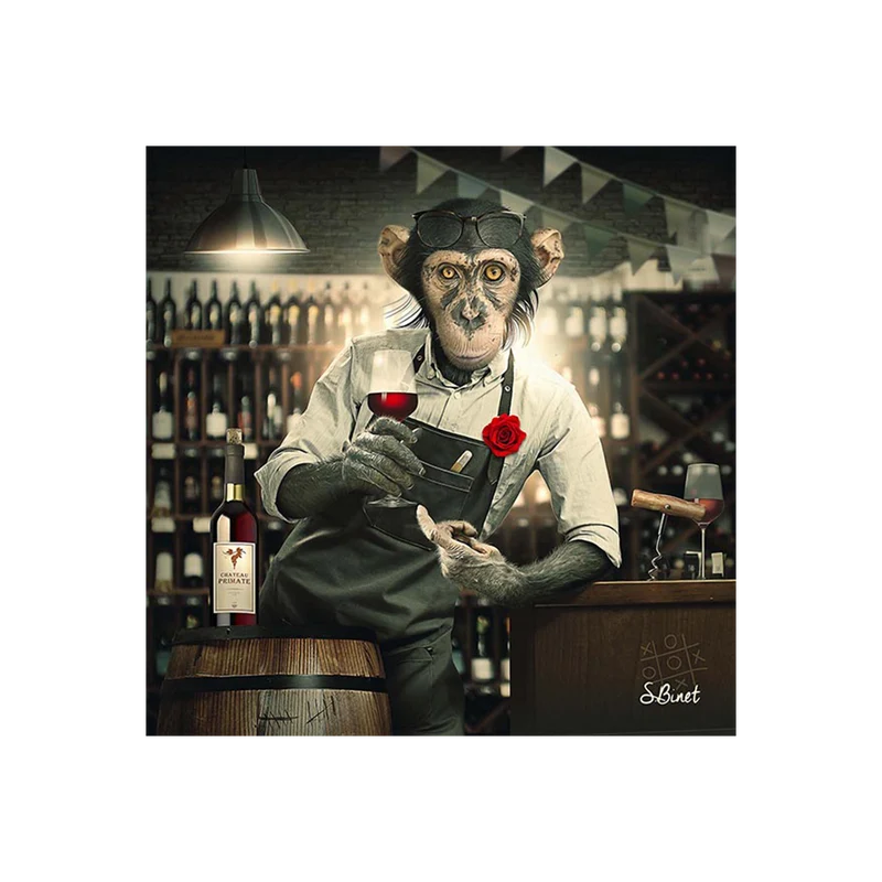 BINET SINGE CAVISTE