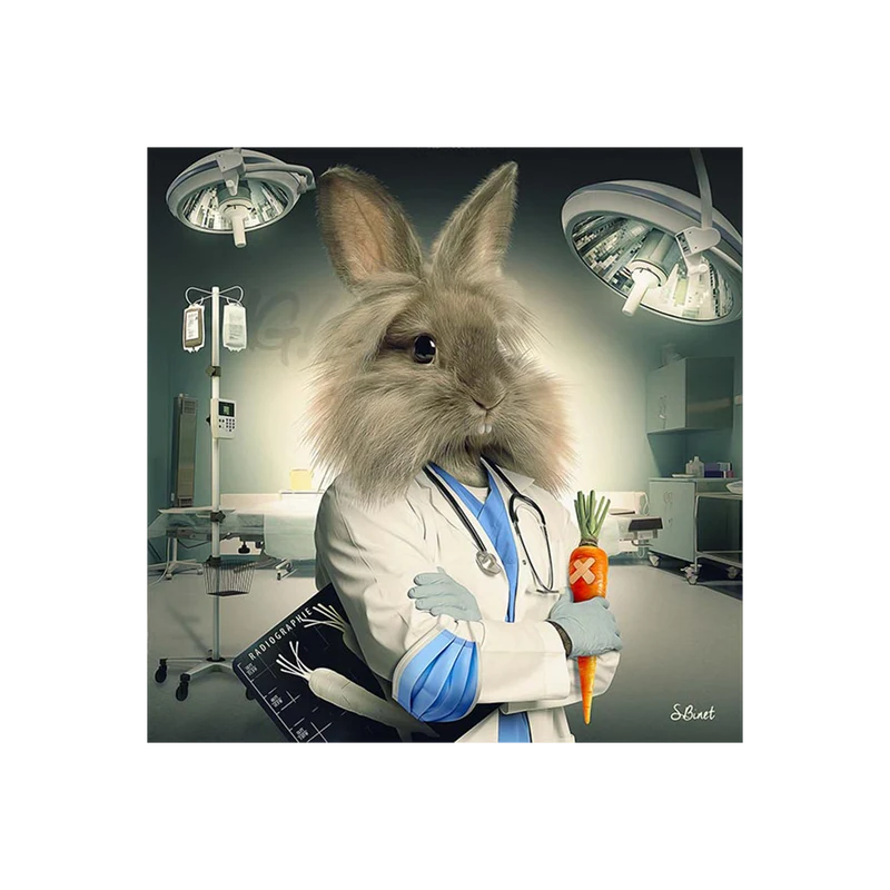 BINET LAPIN INFIRMIER