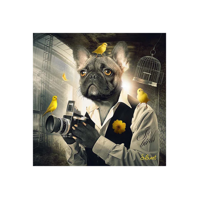 BINET CHIEN PHOTO