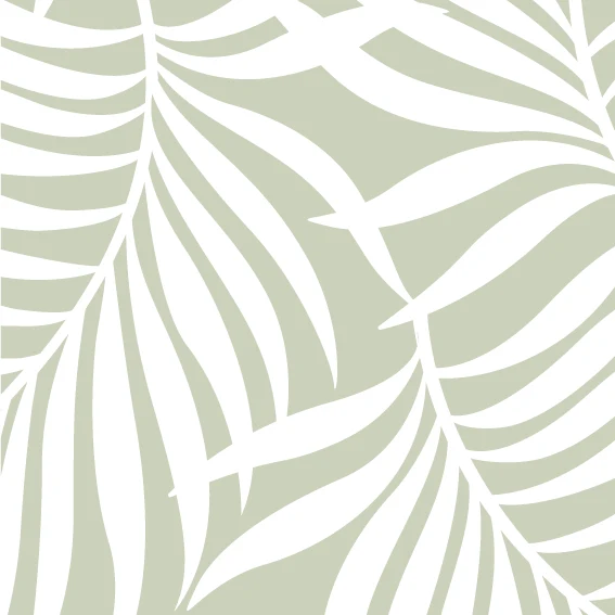 50,5x232 cm Vinyle Feuilles Tropicales Sauge Claire