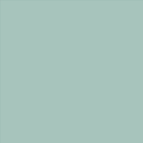 100x200cm Vinyle Couleur Unie Menthe Foncé