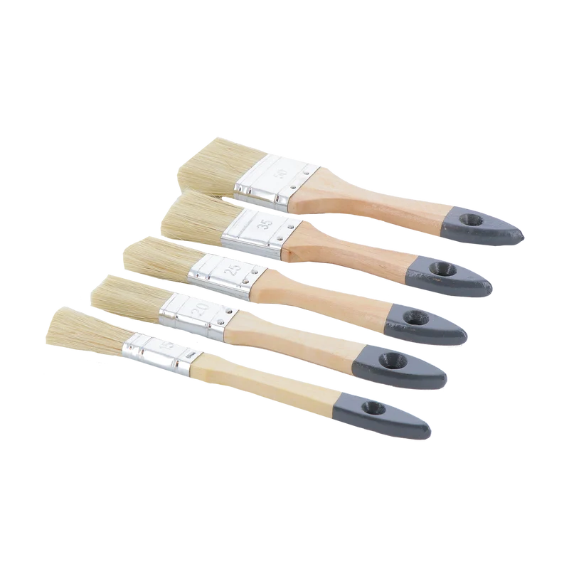 Lot de 5 pinceaux