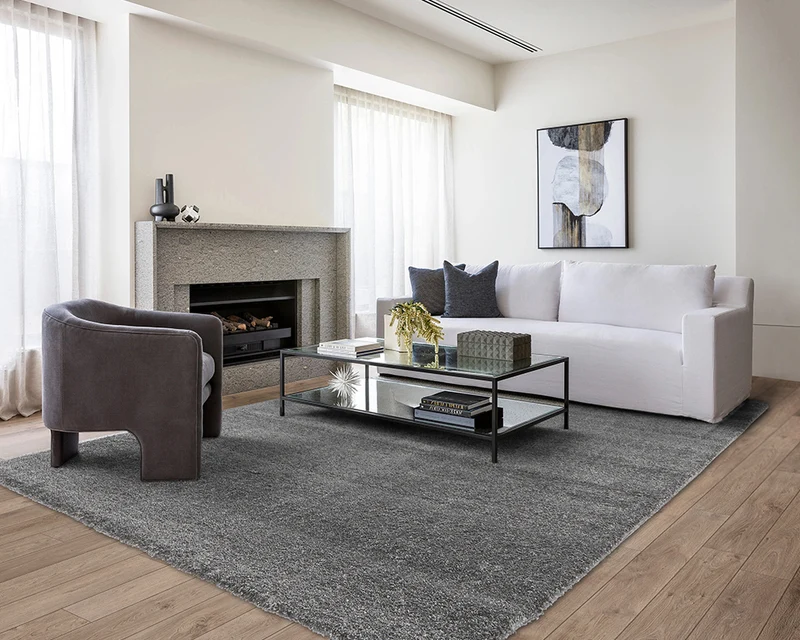 Tapis de salon gris foncé - Alicante