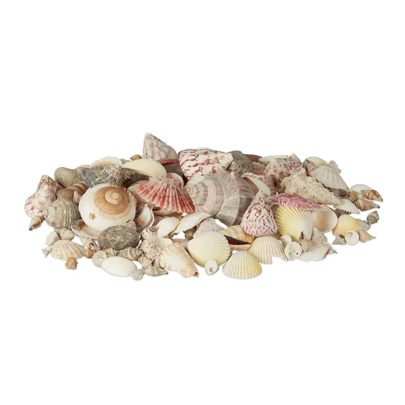 Mélange de coquillages décoratifs naturel salle de bain 3 à 11 cm en plastique beige 13_0004473