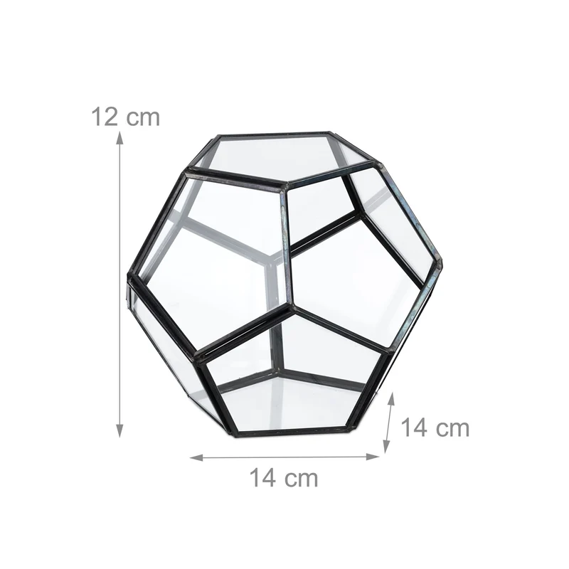 Terrarium de forme originale plantes succulentes 12 x 14 x 14 cm en verre transparent 13_0017389