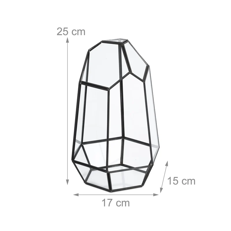 Terrarium de forme originale pour plantes succulentes 25 x 17 x 15 cm en verre transparent 13_0017390